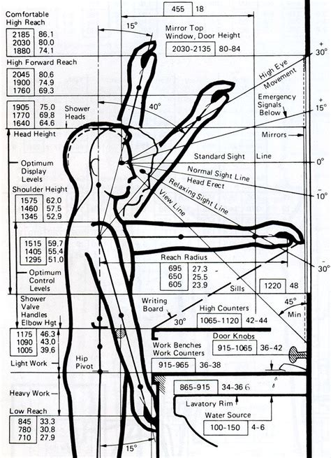 Physical Characteristics: Time of Existence, Vertical Dimension, Body Shape