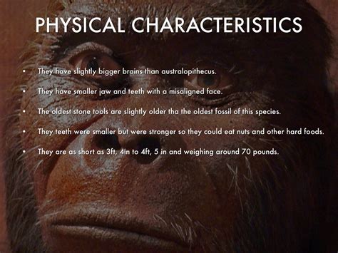 Physical Characteristics and Achievements