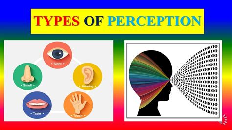 Physical Characteristics and Public Perception