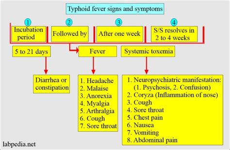 Physical Characteristics of Deaih Felver