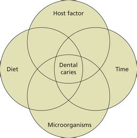 Physical Factors Contributing to Dreams of Bloodstained Enamel