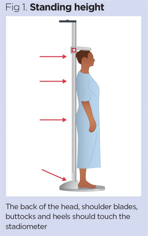 Physical Measurements and Height Information