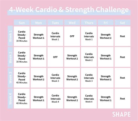 Physical Measurements and Workout Routine