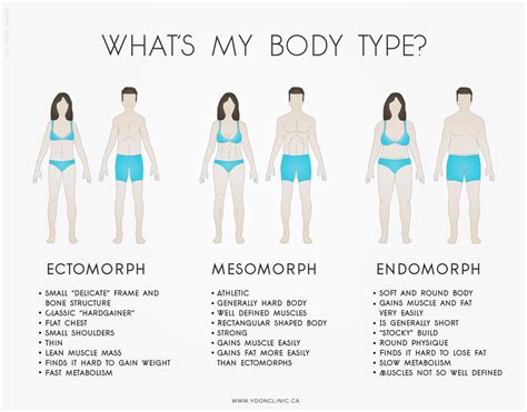 Physical Qualities: What Are Their Body Types?