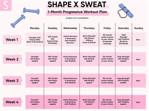 Physical Shape and Exercise Routine