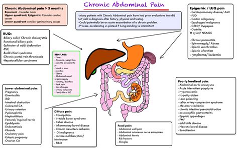 Physical vs. Emotional: Differentiating the Causes of Abdominal Discomfort in Dreams