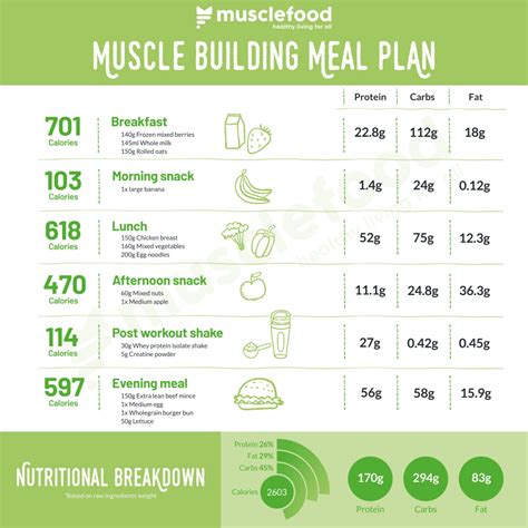 Physique: Fitness Regimen and Nutritional Plan