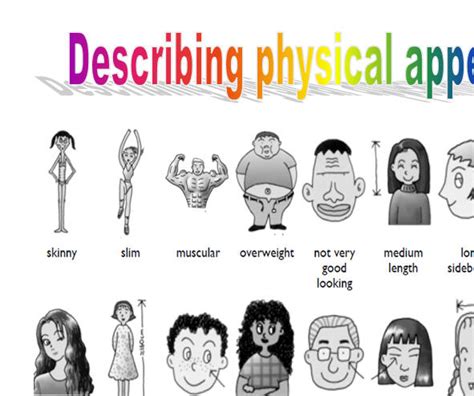 Physique: Personal Appearance and Physical Dimensions