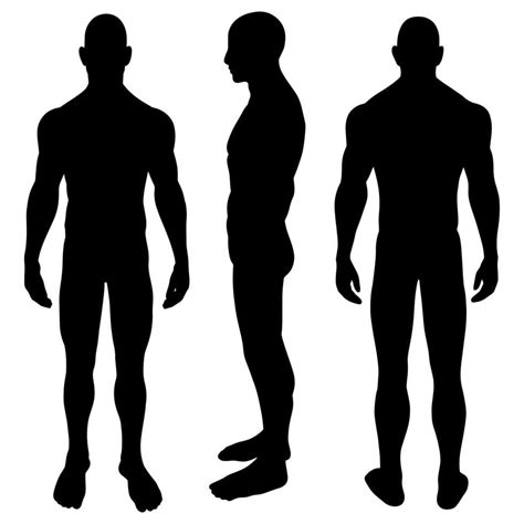 Physique and Silhouette