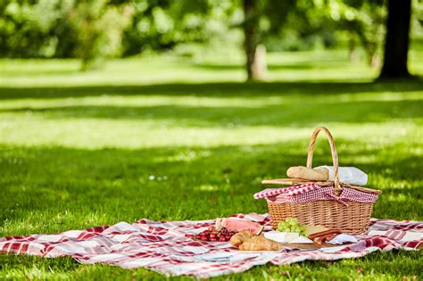 Picnic Etiquette: Essential Guidelines for a Thoughtful Outdoor Gathering