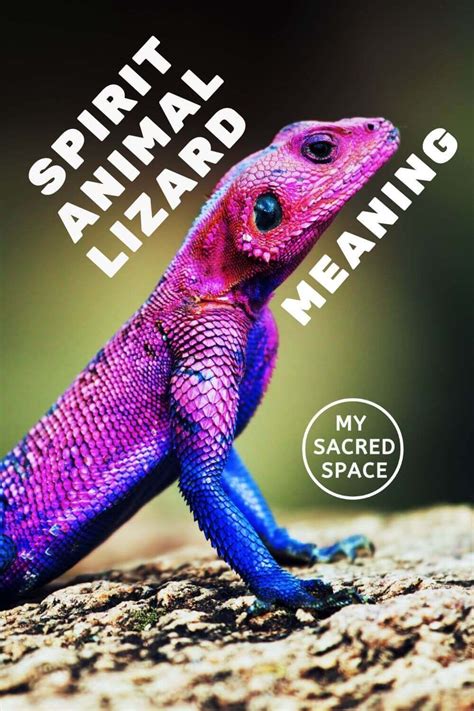 Pink Lizards as Spirit Animals: What Does It Mean?