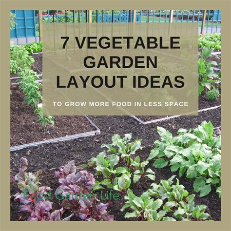 Planning Your Vegetable Growing Endeavor: From Concept to Implementation