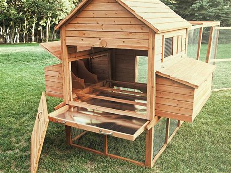 Planning and Designing Your Chicken Coop