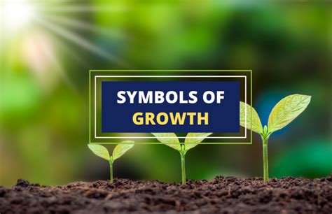 Plants as Symbols of Growth and Transformation