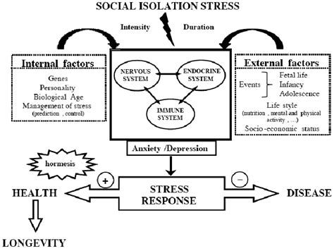 Possible Causes: Psychological and Physiological Factors