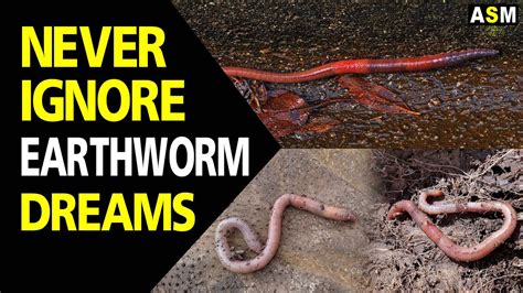 Possible Causes for Dreaming of Inanimate Earthworms