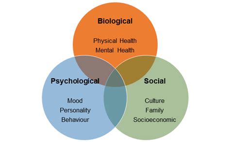 Possible Interpretations and Psychological Analysis