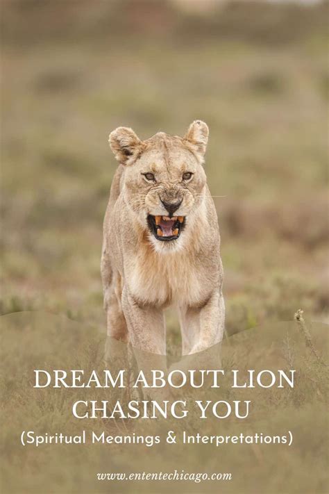 Possible Interpretations of Lion Chase Dreams