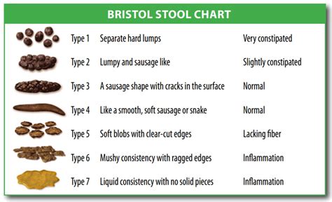 Possible Medical Reasons for Experiencing White Stool in Dreams