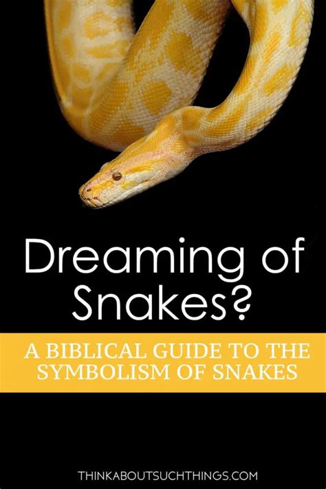 Possible Psychological Meanings Behind Dreams of Expecting Serpents