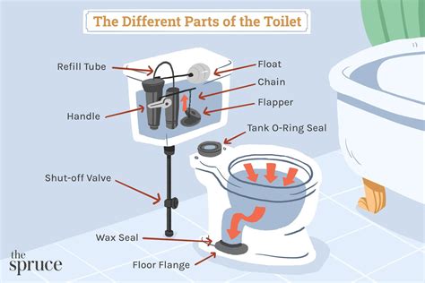 Possible connection to toilet-related experiences or memories