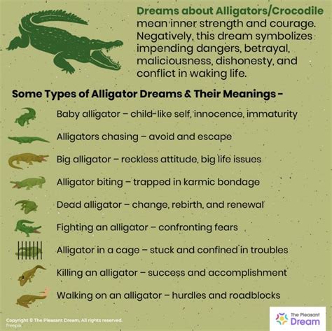 Potential Connections Between Alligator Dreams and Personal Relationships