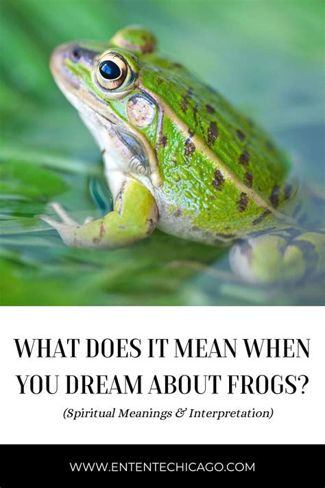 Practical Strategies to Navigate Frog Pursuit Dreams in Everyday Life