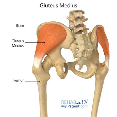 Practical Tips and Techniques to Manage and Overcome Disturbing Dreams Involving Hemorrhaging in the Gluteal Region