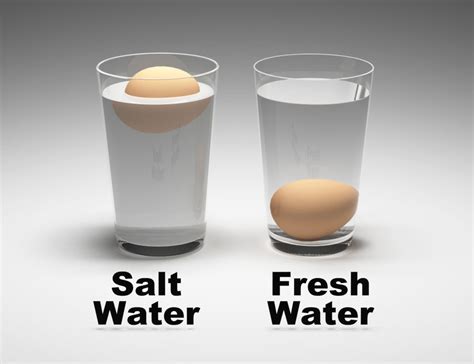 Practical Tips for Frequent Dreams Involving Eggs Submerged in Water