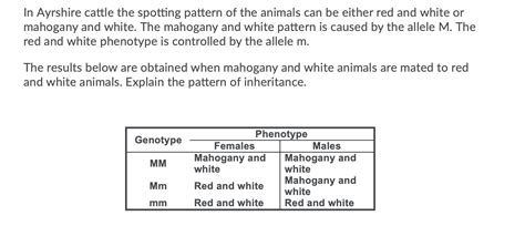 Predicting Changes: Can Dreams of a Mahogany Bull Indicate Transformation?