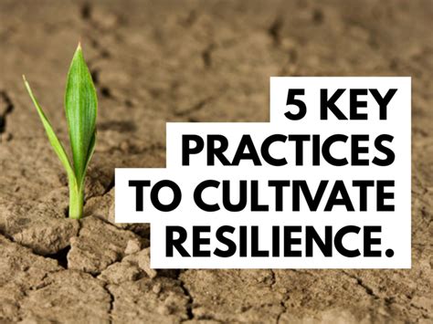 Preparing for the Showdown: Cultivating Inner Resilience