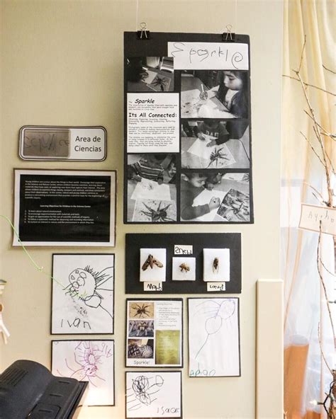 Preserving Creativity: Strategies for Documenting and Sharing Wall Art