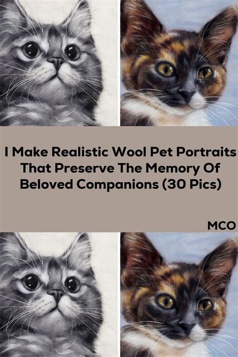 Preserving the Cherished Memories of Your Beloved Companion