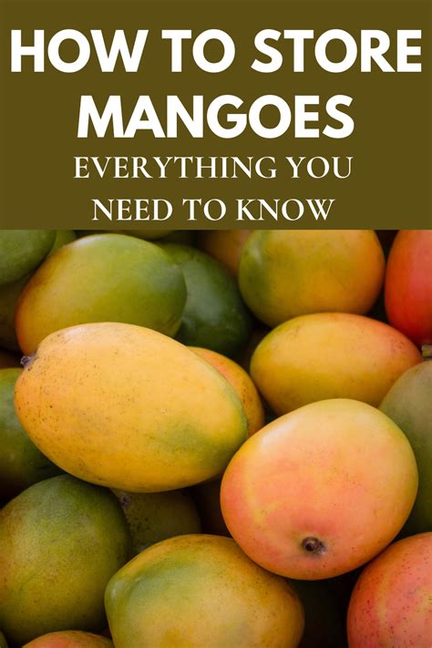 Preserving the Sweetness: How to Store Mangoes