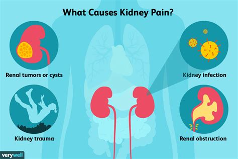 Preventing Discomfort in the Kidney region during sleep: Effective Strategies and Methods