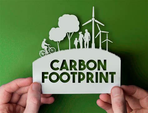 Protect the Environment and Reduce Carbon Footprint