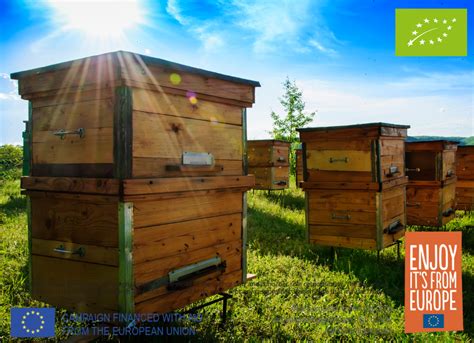 Protecting Bees and Ensuring a Sustainable Honey Industry