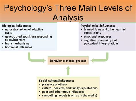 Psychological Analysis