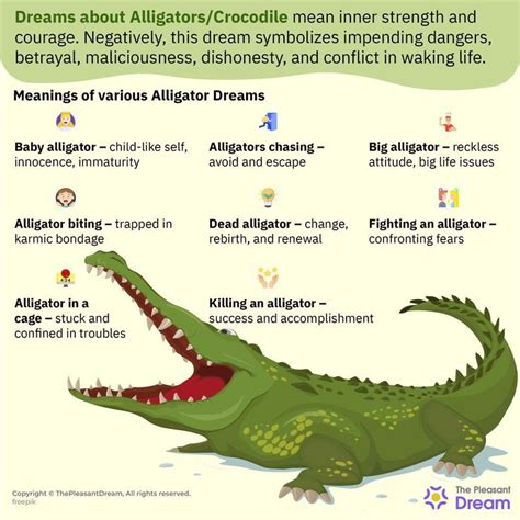 Psychological Analysis: Symbolic Interpretation of Alligators and Dogs in Dreams