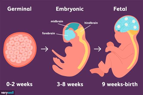 Psychological Analysis of Dreaming During the Maternity Period