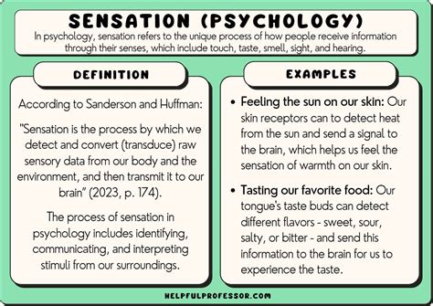 Psychological Explanations for the Sensation in Your Dream