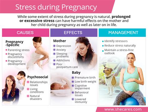 Psychological Factors: Stress and Anxiety During the Journey to Motherhood