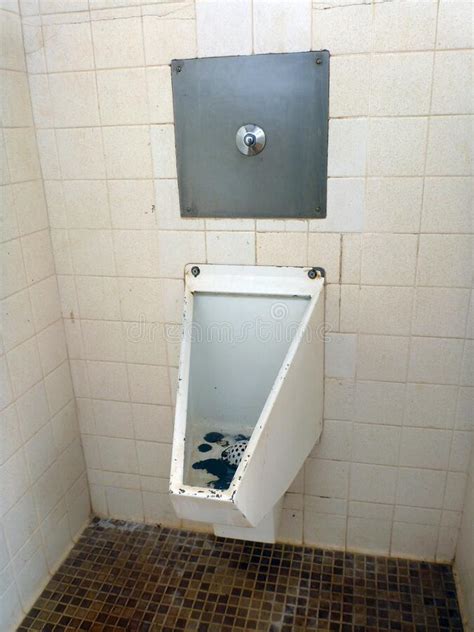 Psychological Factors Behind Repulsive Experiences in Unsanitary Public Restrooms