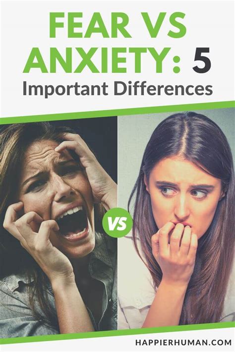 Psychological Insights: Understanding Fear, Anxiety, and Stress in Nightmares Involving Homicidal Pursuits