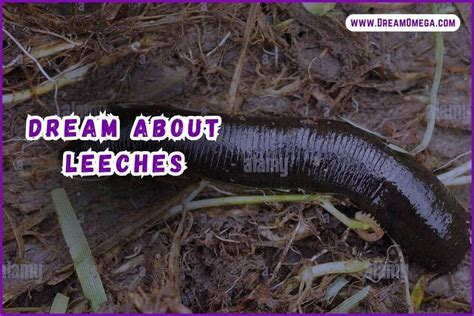 Psychological Insights into Dreams featuring Leeches in the Oral Cavity