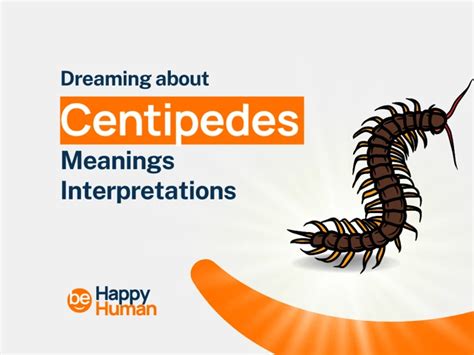 Psychological Insights into the Interpretation of the Centipede Vision