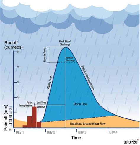 Psychological Interpretation: Rainfall Within the Dwelling