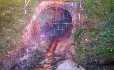 Psychological Interpretation of Sewage Dreams