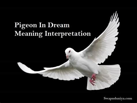 Psychological Interpretations of Dreaming about a Lifeless White Pigeon