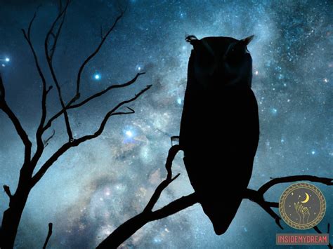 Psychological Interpretations of Lucid Owl Fatality in Dreams